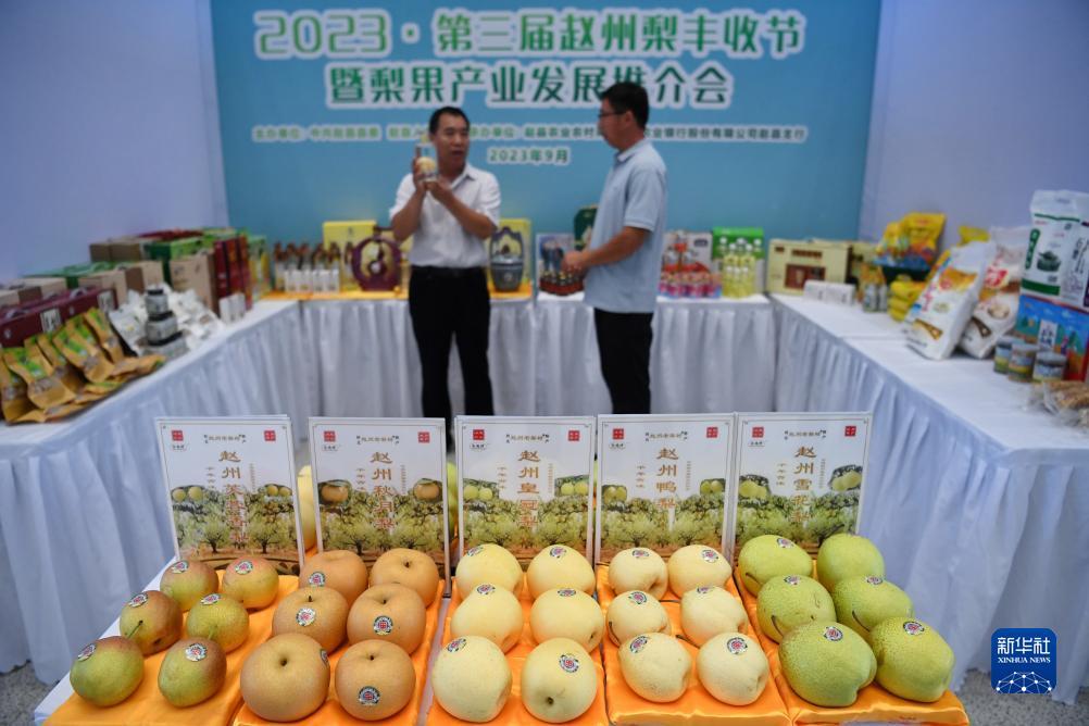 希尔顿网站糖果游戏网站